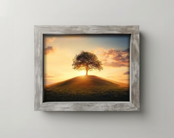 Fotografía de árboles al atardecer dorado: Arte paisajístico minimalista (Descarga digital)