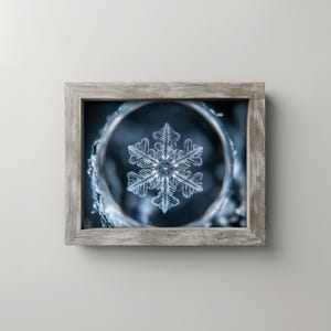 May include: A framed macro photograph of a snowflake. The snowflake is centered within a circular frame, showcasing its intricate, symmetrical design. The frame is a light gray color, and the background is a dark blue.