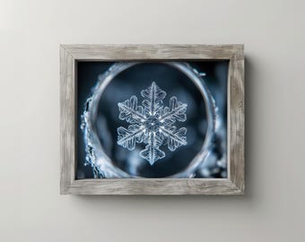 Pode incluir: Fotografia macro emoldurada de um floco de neve. O floco de neve está centrado dentro de uma moldura circular, mostrando seu intrincado design simétrico. A moldura é cinza claro e o fundo é azul escuro.
