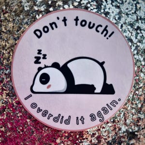Mental Health sticker, funny, animal, anxiety, overstimulated, ADHD, boundaries, decal