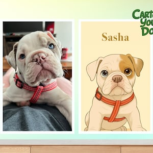 May include: A photograph and a cartoon illustration of a white and tan bulldog puppy wearing a red harness. The cartoon illustration has the name "Sasha" above it and the text "Cartoon Your Dog" in green.