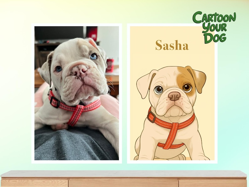 May include: A photograph and a cartoon illustration of a white and tan bulldog puppy wearing a red harness. The cartoon illustration has the name "Sasha" above it and the text "Cartoon Your Dog" in green.