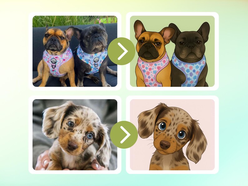 May include: Image featuring two sets of dog portraits. The top row shows a pair of French Bulldogs, one tan and one black, wearing harnesses. The bottom row shows a spotted Dachshund puppy and its illustrated portrait.