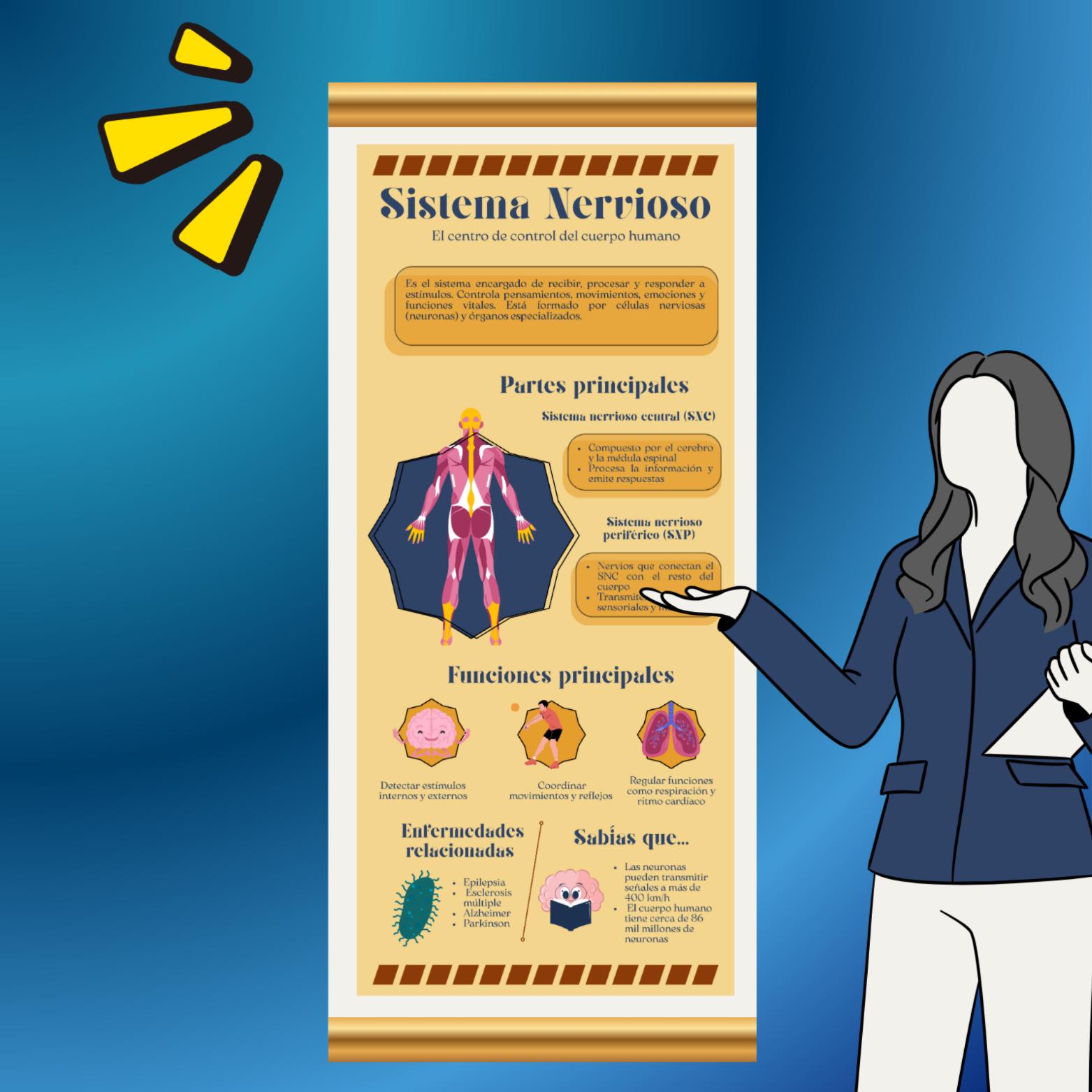 Bearbeitbare digitale Infografik: Nervensystem | Lernen und visuelle Inhalte erstellen. Ideal für pädagogische oder persönliche Präsentationen.