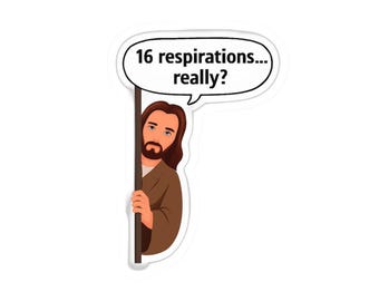 Stickers humoristiques pour EMS/allaitement, stickers originaux pour ordinateur portable, stickers de versets de la Bible amusants, humour chrétien, cadeau pour les adeptes