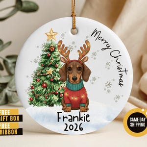 dachshund lover gift
dachshund ornament
dachshund gifts
dachshund keepsake
dachshund christmas
long haired dachshun
dachshund stocking
dapple dachshund
long hair dachshund
cream dachshund
dog ornament
pet ornament
dog lover ornament