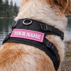 May include: A black dog harness with a pink patch that reads "YOUR NAME" in white lettering. The harness has adjustable straps and a metal D-ring. The dog has light brown and white fur.