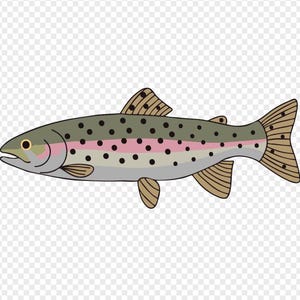 May include: A cartoon illustration of a fish, featuring a gray body with black spots and a pink stripe along the side. The fins and tail are tan, and the eye is yellow. The fish is depicted in a side view.