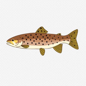 May include: A cartoon illustration of a brown trout. The fish has a light brown body with dark brown spots, yellow accents, and fins. The fish is facing left, with its mouth slightly open.