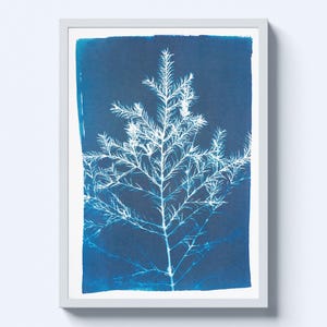 May include: A framed botanical print featuring a white plant silhouette against a deep blue background. The artwork showcases a detailed depiction of a plant, with a focus on its delicate branches and leaves. The print is encased in a white frame.