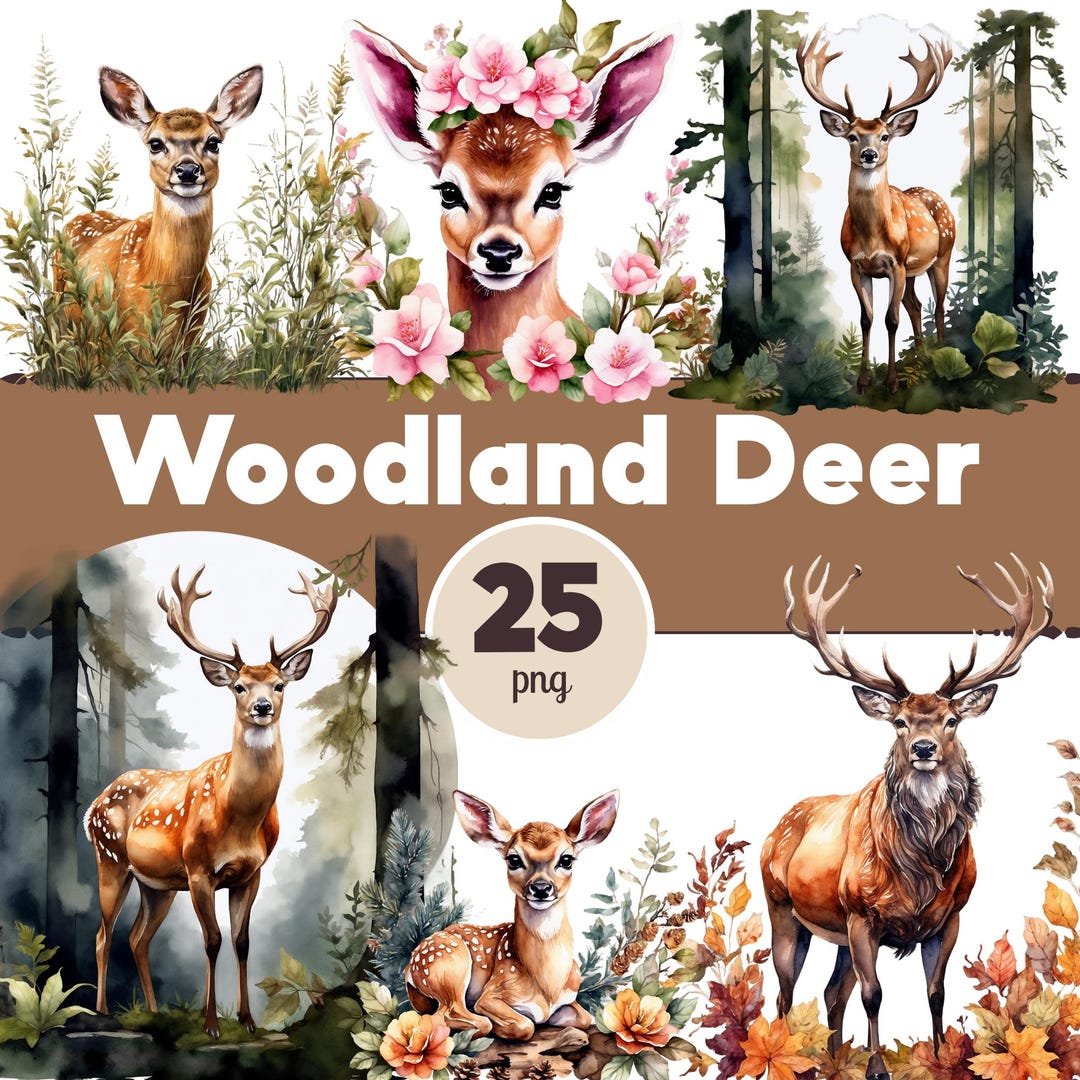 Woodland Deer Clipart Bundle – Watercolor Forest Animals, Fawn, Stag ...