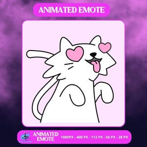 Emote animado de Crazy Love Cat: GIF divertido de ojos de corazón suplicando Twitch Discord Reacción loca