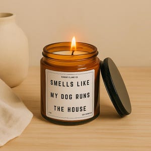Soy Candle, Dog Parent Gift, Funny Candle, Smells Like My Dog Runs My House, Amber Jar Candle, Multi-Size Candle