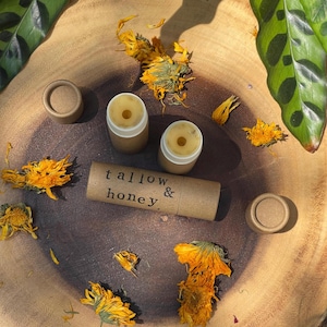 Tallow Lip Balm - Tallow & Honey