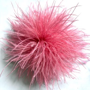 Può includere: Un accessorio decorativo rotondo e soffice realizzato con morbide piume di struzzo rosa brillante. Le piume si irradiano da un punto centrale, creando una forma sferica densa, strutturata e voluminosa dall'aspetto leggero e arioso.