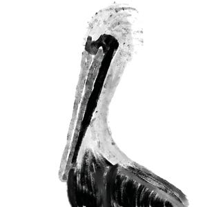 Modern Pelican digital artwork