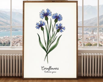 ヴィンテージのヤグルマギクアートプリント - 青い花の植物イラスト
