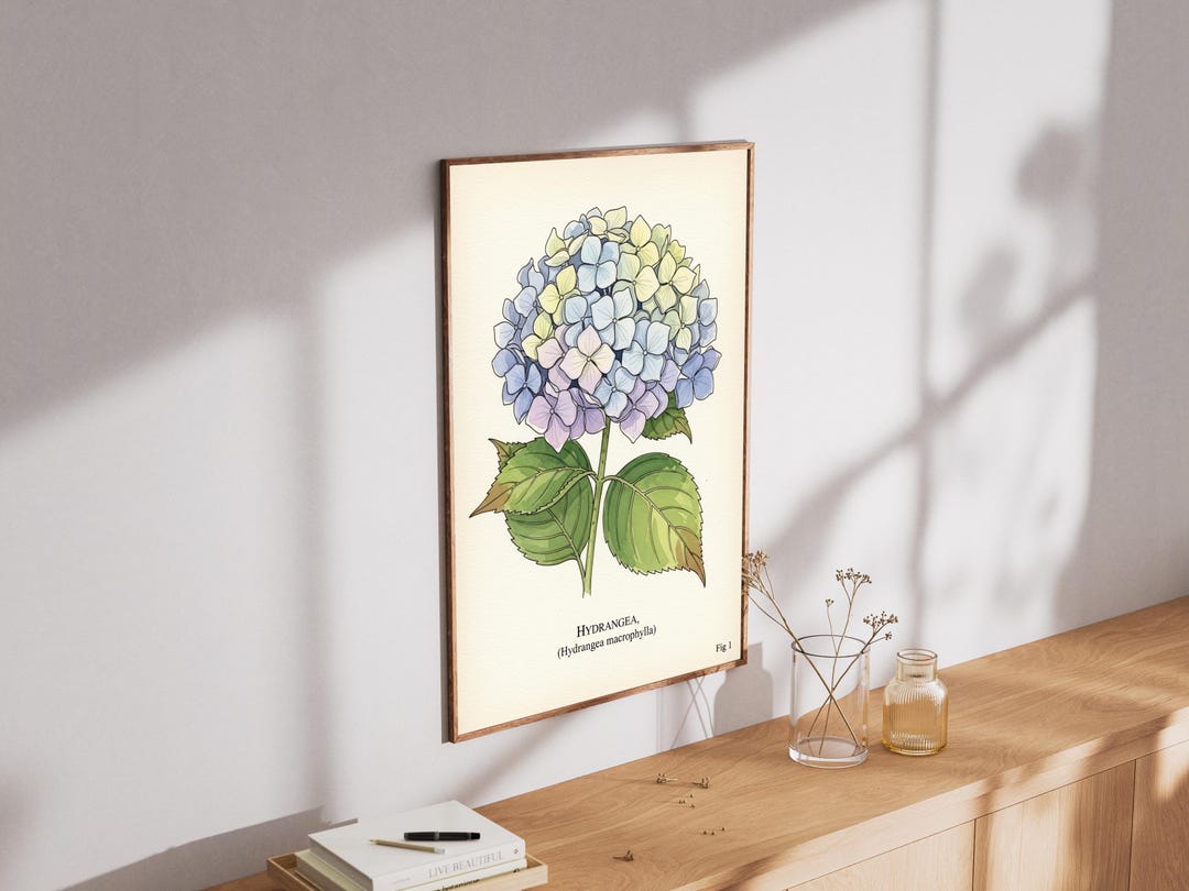 Hydrangea Botanical Print – Vintage Watercolor Floral Wall Art - Etsy