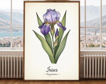 ヴィンテージアイリスプリント - 紫の水彩画の植物イラスト