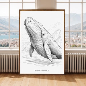 May include: A framed black and white illustration of a bowhead whale breaching the water. The artwork features detailed shading and the text "BOWHEAD WHALE" at the bottom. The frame is a warm brown color.