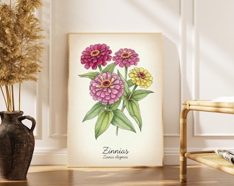 ヴィンテージのジニアの花のプリント – 植物の水彩画