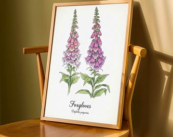 ヴィンテージのジギタリスのボタニカルプリント - 水彩画の花のイラスト