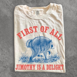 Pode incluir: Uma t-shirt de cor creme com um gráfico azul de um guaxinim a caminhar pela relva. O texto "FIRST OF ALL" está impresso a vermelho acima do guaxinim, e o texto "JIMOTHY IS A DELIGHT" está impresso a vermelho abaixo do gráfico.