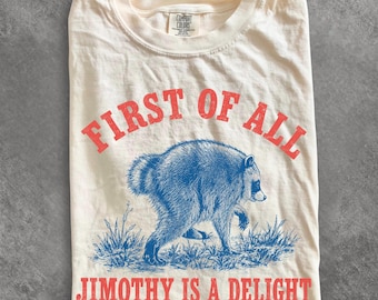 Jimothy Raccoon Shirt, Famous Seattle Raccoon Tee, Short King Trash Panda Graphic T-Shirt, Funny Animal Gift , Cute Baby Raccoon