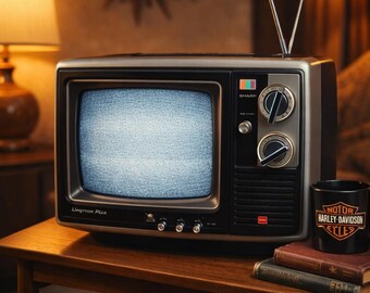 Téléviseur Portable Vintage Orion TV-502 – Fonctionnel – Look Rétro