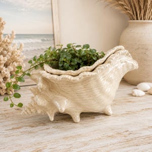 May include: A cream ceramic seashell planter with a textured surface, holding green plants. The planter has a unique, organic shape and is supported by three small feet. A decorative piece for home decor.