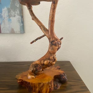 May include: A natural wood display stand featuring a thick, circular base and a polished, branch-like vertical support that curves upward to hold a flat, circular top platform. The wood exhibits a warm, amber-toned finish with visible knots.