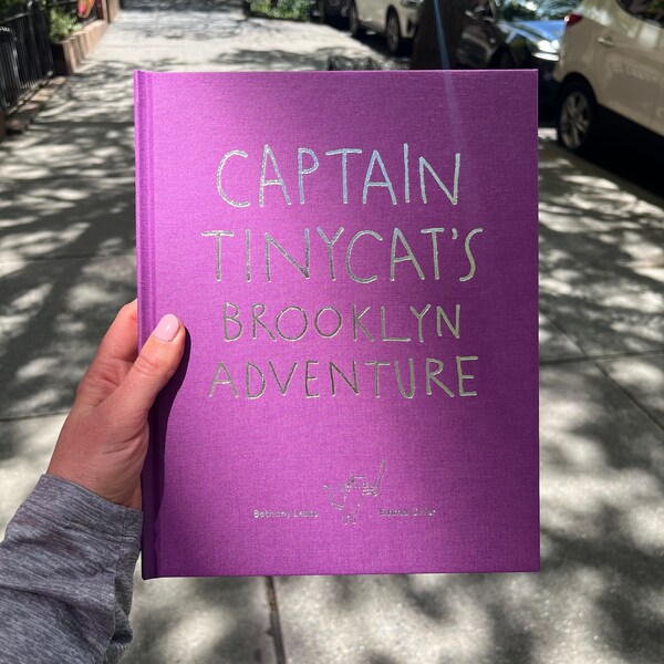 Captain Tinycat's Brooklyn Adventure