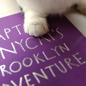 Het Brooklyn-avontuur van kapitein Tinycat afbeelding 10