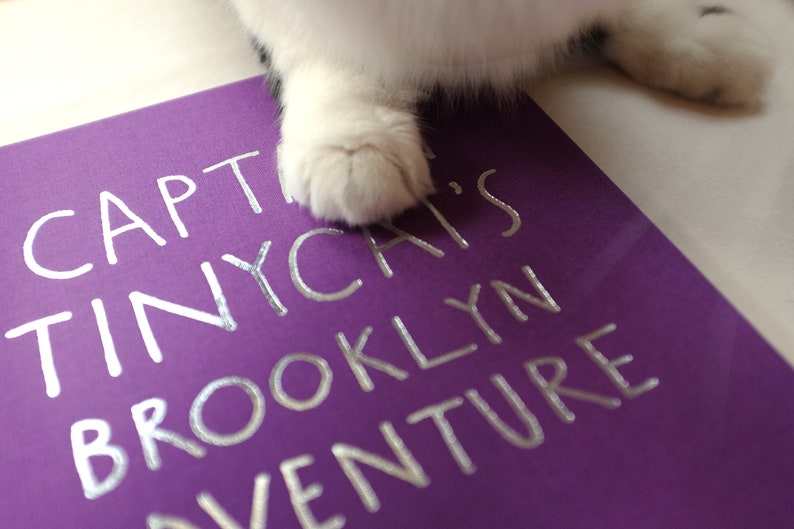 Het Brooklyn-avontuur van kapitein Tinycat afbeelding 10