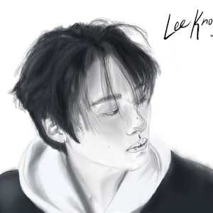 Stray Kids - Lee Know