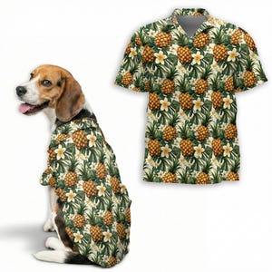 May include: A beagle wearing a Hawaiian shirt with a pineapple and floral pattern. The shirt is a matching print to a human-sized shirt next to the dog. The shirts feature a cream background with green leaves, yellow flowers, and brown pineapples.
