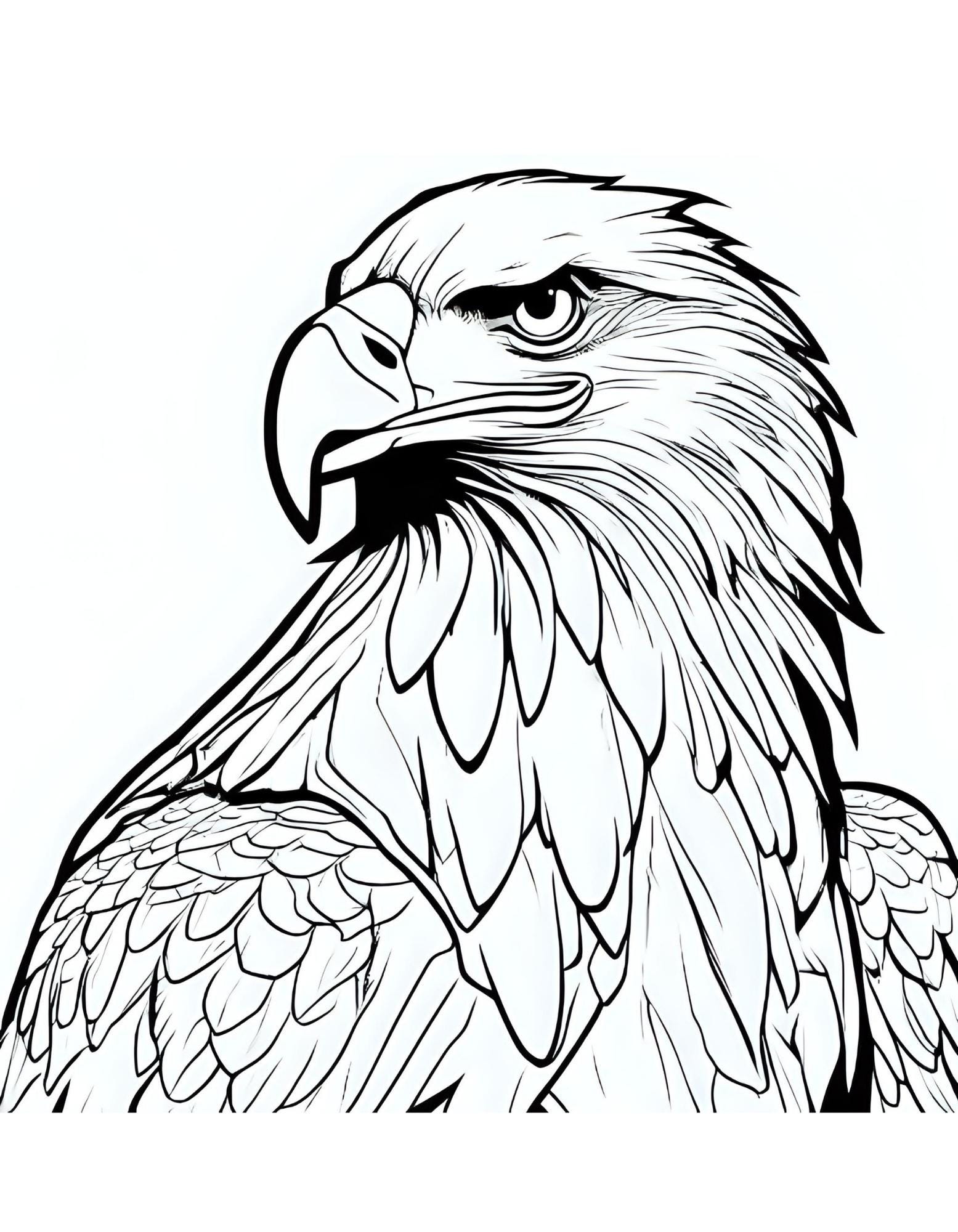 Eagle Coloring Pages for Kids & Adults: Printable Bird Art (PDF ...