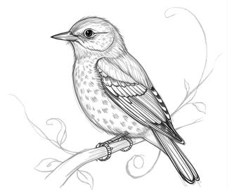Birds Coloring Pages: Nature Wildlife Activity Sheets (Digital Download)