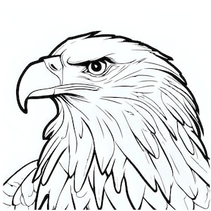 Dibujos de águilas para colorear para niños y adultos: Arte de aves imprimible (Descarga PDF)