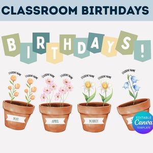 Puede incluir: Un gráfico de cumpleaños en el aula con el texto "CLASSROOM BIRTHDAYS" en la parte superior. La palabra "BIRTHDAYS!" está escrita en banderas de banner coloridas. Cuatro macetas de terracota contienen cada una una flor diferente, etiquetada con meses y "STUDENT NAME".