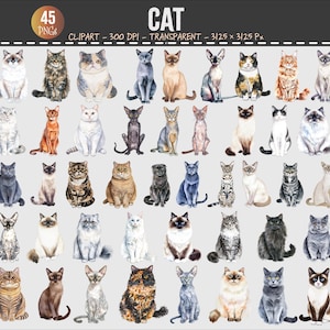 Puede incluir: Un conjunto de 45 ilustraciones de acuarela de gatos, que muestran diversas razas y colores. Los gatos incluyen variedades atigradas, siamesas y calicó. La palabra "CAT" se muestra en la parte superior de la imagen.