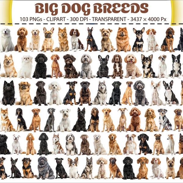 Stora hundraser Clipart-paket Realistiska hundar Husdjur PNG-set 300 DPI