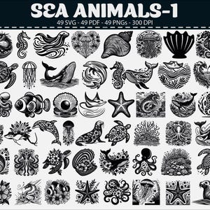 May include: Black and white illustrations of various sea creatures, including a seahorse, whale, jellyfish, and starfish. The text "SEA ANIMALS-1" is at the top, with details about the file types and resolution.