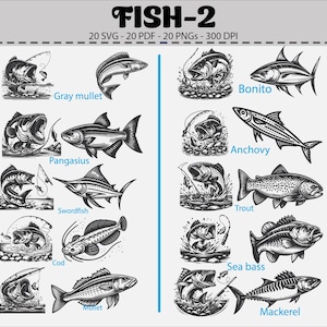 Sea Fish SVG Clipart Set: Bonito, Trout, Cod (Digital Download)