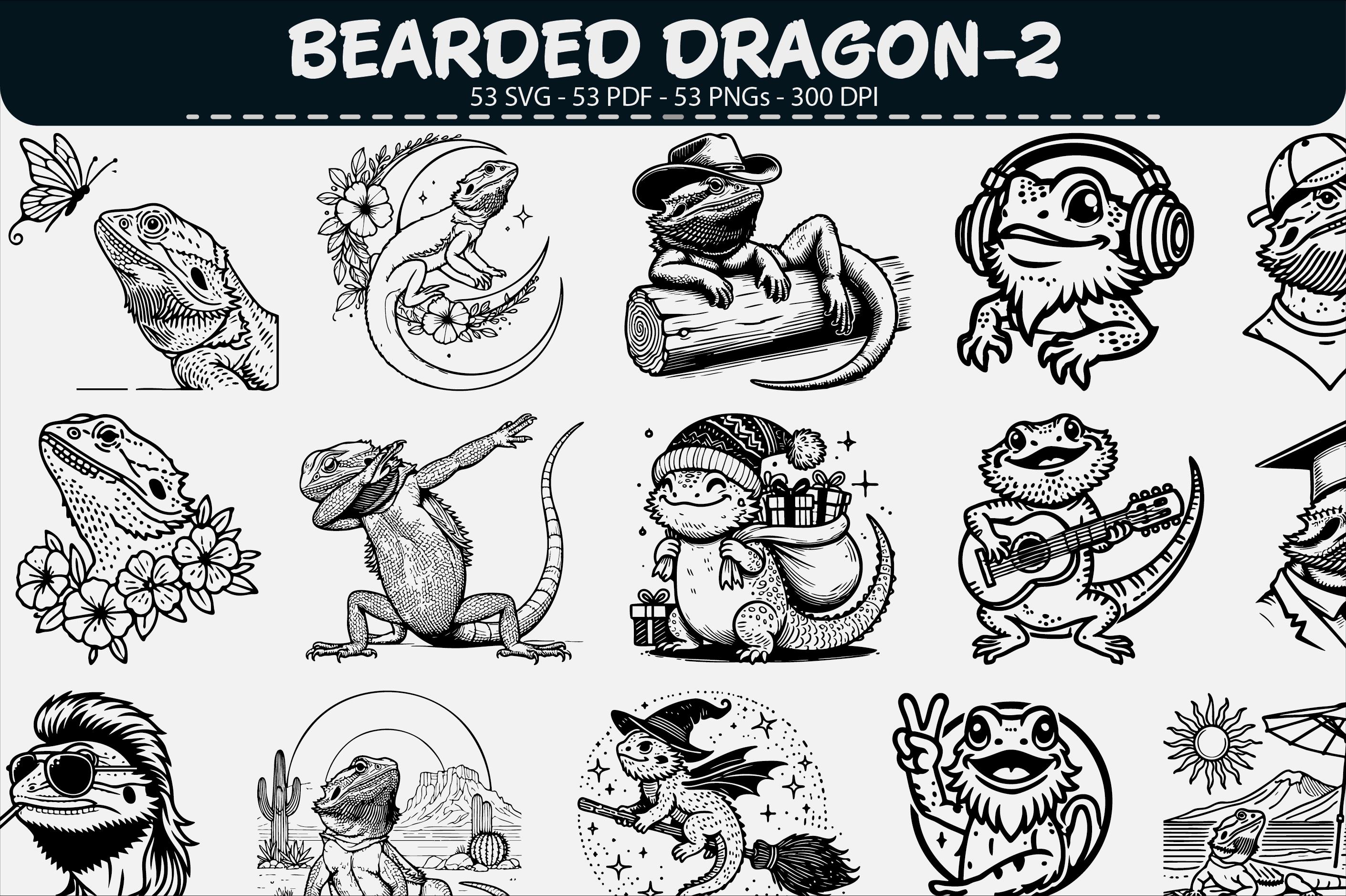 Bearded Dragon Illustration Bundle SVG PNG PDF Vector - Etsy