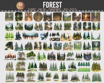 Forest Landscape Clipart Bundle Nature PNG Set 300 DPI