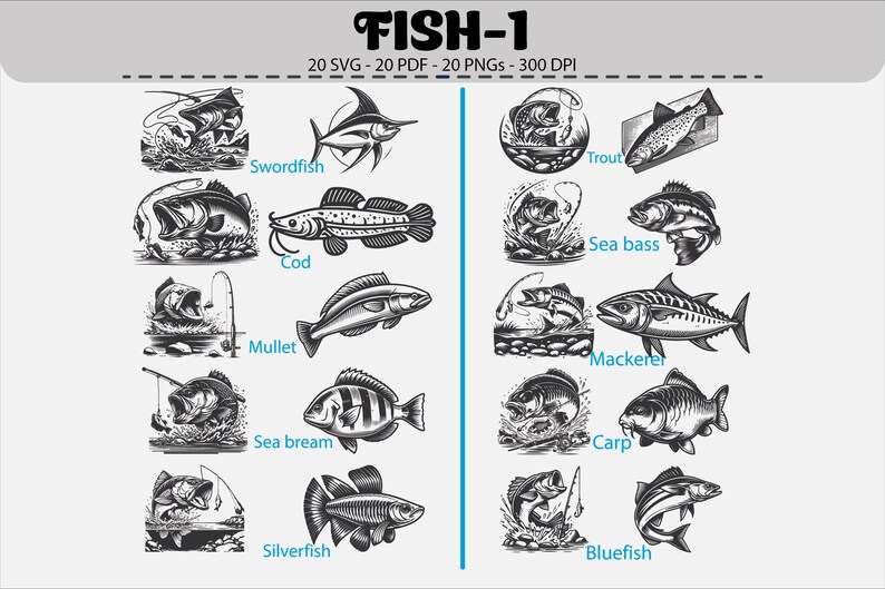 Fish SVG Bundle: Vintage Sea Creatures, Angler Illustrations (digital ...