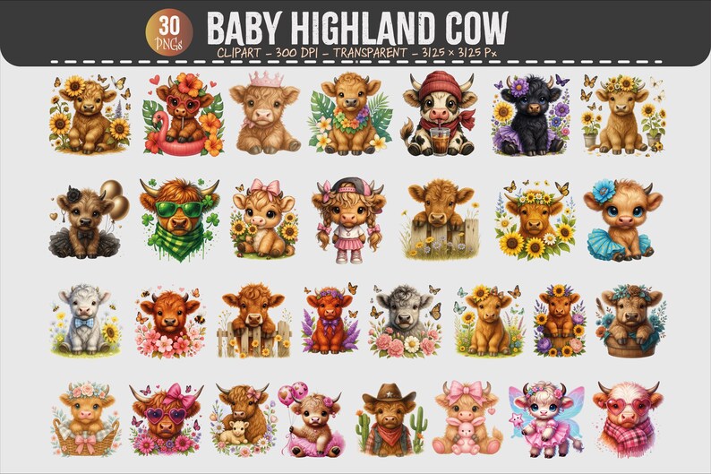 Baby Highland Cow Clipart Bundle | 30 PNG Set | 300 DPI Transparent ...