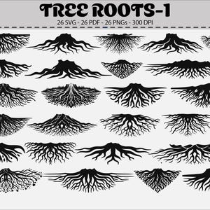 Op de afbeelding: Een verzameling van 26 zwarte boomwortelontwerpen in verschillende vormen. De afbeelding bevat de tekst "TREE ROOTS-1" bovenaan, samen met bestandsinformatie: 26 SVG, 26 PDF, 26 PNG's en 300 DPI. De wortels zijn gedetailleerd en geschikt voor grafische ontwerpprojecten.
