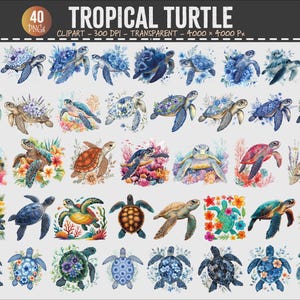 Puede incluir: Una colección de 40 imágenes prediseñadas de tortugas tropicales en acuarela. Las tortugas son de varios colores, incluyendo azul, verde y marrón, y están decoradas con flores y corales. El texto "TROPICAL TURTLE" está en la parte superior.